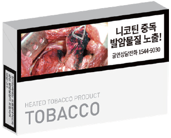 Heated Tobacco Product(HTP)
